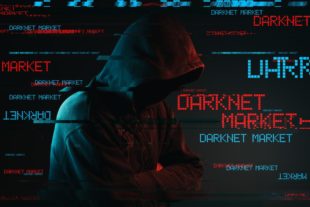 Darknet drug market list